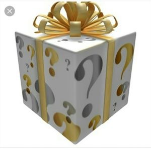 Mystery Box 4 pieces of quality/name brand clothes